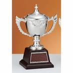  чемпионский кубок C1729A высота 27cm серебряный знак inserting бесплатный 