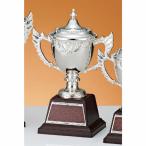  чемпионский кубок C1729C высота 21.5cm серебряный знак inserting бесплатный 