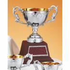  чемпионский кубок C1731B высота 25cm серебряный знак inserting бесплатный 