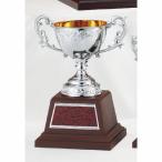  чемпионский кубок C1731C высота 23.5cm серебряный знак inserting бесплатный 