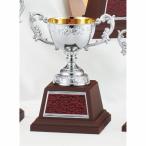  чемпионский кубок C1731D высота 20cm серебряный знак inserting бесплатный 