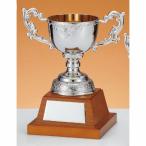  чемпионский кубок C1732B высота 25.5cm серебряный знак inserting бесплатный 