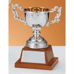  чемпионский кубок C1732C высота 22.5cm серебряный знак inserting бесплатный 