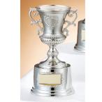  чемпионский кубок C1736B высота 22cm серебряный знак inserting бесплатный 