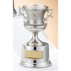  чемпионский кубок C1736C высота 18.5cm серебряный знак inserting бесплатный 