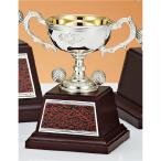  чемпионский кубок Golf специальный C1741E высота 13cm серебряный знак inserting бесплатный 