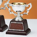  чемпионский кубок C1742D высота 14.5cm серебряный знак inserting бесплатный 