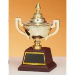  чемпионский кубок C1854C высота 17.5cm Gold знак inserting бесплатный 