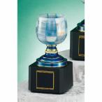  чемпионский кубок C1902B высота 22.5cm синий знак inserting бесплатный 