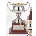  чемпионский кубок DC-1411C высота 25.5cm серебряный знак inserting бесплатный 