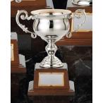  чемпионский кубок DC-1427D высота 23cm серебряный знак inserting бесплатный 