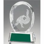  crystal Trophy дзюдо GW4225-04 высота 10.5cm знак inserting бесплатный 