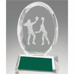  crystal Trophy волейбол GW4225-07 высота 10.5cm знак inserting бесплатный 