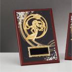 .P607A 30×21cm знак inserting бесплатный 