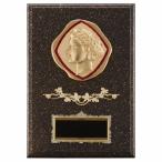 .P610A 30×21cm знак inserting бесплатный 