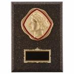 .P610B 26×19cm знак inserting бесплатный 