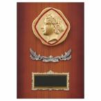 .P611A 30×21cm знак inserting бесплатный 