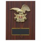 .P633B 23×17cm знак inserting бесплатный 