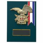 .P634G 14×10cm знак inserting бесплатный 