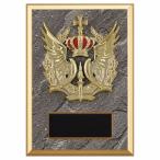 .P645D 21×15cm знак inserting бесплатный 