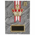 .P653A 23×17cm знак inserting бесплатный 