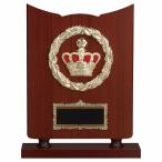 .P655A 32×25cm знак inserting бесплатный 