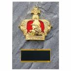 .P661E 16×11cm знак inserting бесплатный 