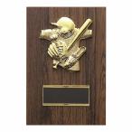 . бейсбол софтбол P679C 18×12cm знак inserting бесплатный 