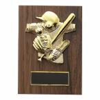 . бейсбол софтбол P679E 14×10cm знак inserting бесплатный 