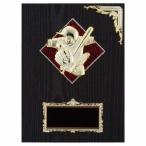 . бейсбол софтбол P682B 23×17cm знак inserting бесплатный 