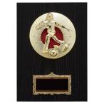 . боулинг P697C 21×15cm знак inserting бесплатный 