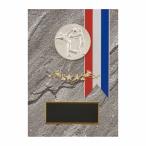 .PW57A 21×15cm знак inserting бесплатный 