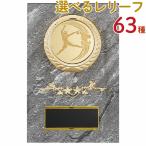 .PW69B 18×12cm знак inserting бесплатный 