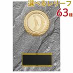 .PW69C 16×11cm знак inserting бесплатный 