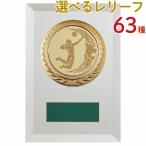 .PW70B 16×11cm знак inserting бесплатный 