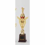  Trophy T316E высота 39cm стандартный знак inserting бесплатный 