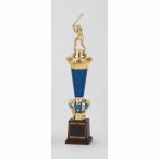  Trophy T317E высота 36cm стандартный знак inserting бесплатный 