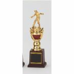  Trophy T335C высота 25cm знак inserting бесплатный 