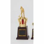 トロフィー T344A 高さ25cm 文字入れ無