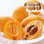  loquat biwa4 pack large grain 3L 2L L Tang river loquat approximately 20 piece approximately 1.6kg size mixing Ehime .. gift .. one part region free shipping 