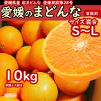 愛媛のまどんな 紅まどんな 訳あり みかん 箱買いサイズ混合 10kg 10キロ 表面に傷やシミ有 一部地域 送料無料