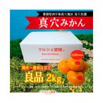 真穴みかん 2kg 2キロ 良品 S M L サイズ まあな ｓ レギュラー みかん 贈答 真穴共選 一部地域 送料無料