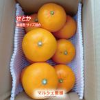 ショッピングせとか せとか みかん 家庭用 サイズ混合 傷有 少量 訳あり 柑橘 愛媛 箱買い 一部地域 送料無料