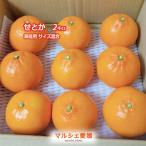 ショッピングせとか せとか 2キロ サイズ混合 家庭用 2kg 柔らかい果肉 傷有訳あり 柑橘 愛媛 みかん 箱買い 一部地域 送料無料