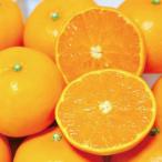 ショッピングせとか せとか 5kg 5キロ 家庭用 サイズ混合 みかん 箱買い フルーツサンドにおすすめ 柔らかな果肉 上品な甘さ 一部地域 送料無料