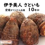 sa..... прекрасный человек 10kg превосходящий товар L 2L таро 10 kilo .. для Ehime довольно большой овощи .. часть регион бесплатная доставка 