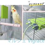  птица обогреватель длиннохвостый попугай ....... обогреватель птица для обогреватель попугай хомяк для документ птица se регулирование длиннохвостый попугай ko The Klein koo черепаха длиннохвостый попугай sa The Nami длиннохвостый попугай 