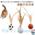  кошка игрушка 3 шт. комплект эластичность мяч перо имеется игрушка движение нехватка меры -тактный отсутствует аннулирование кошка для перо мяч 