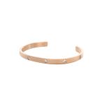 並行輸入品 ダニエルウェリントン DANIEL WELLINGTON バングル CLASSIC LUMINE BRACELET DW00401744 Rose Gold ローズゴールド