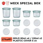 I[vLOIIWECK SPECIAL BOX (MOLD80ml x4/120ml x2j